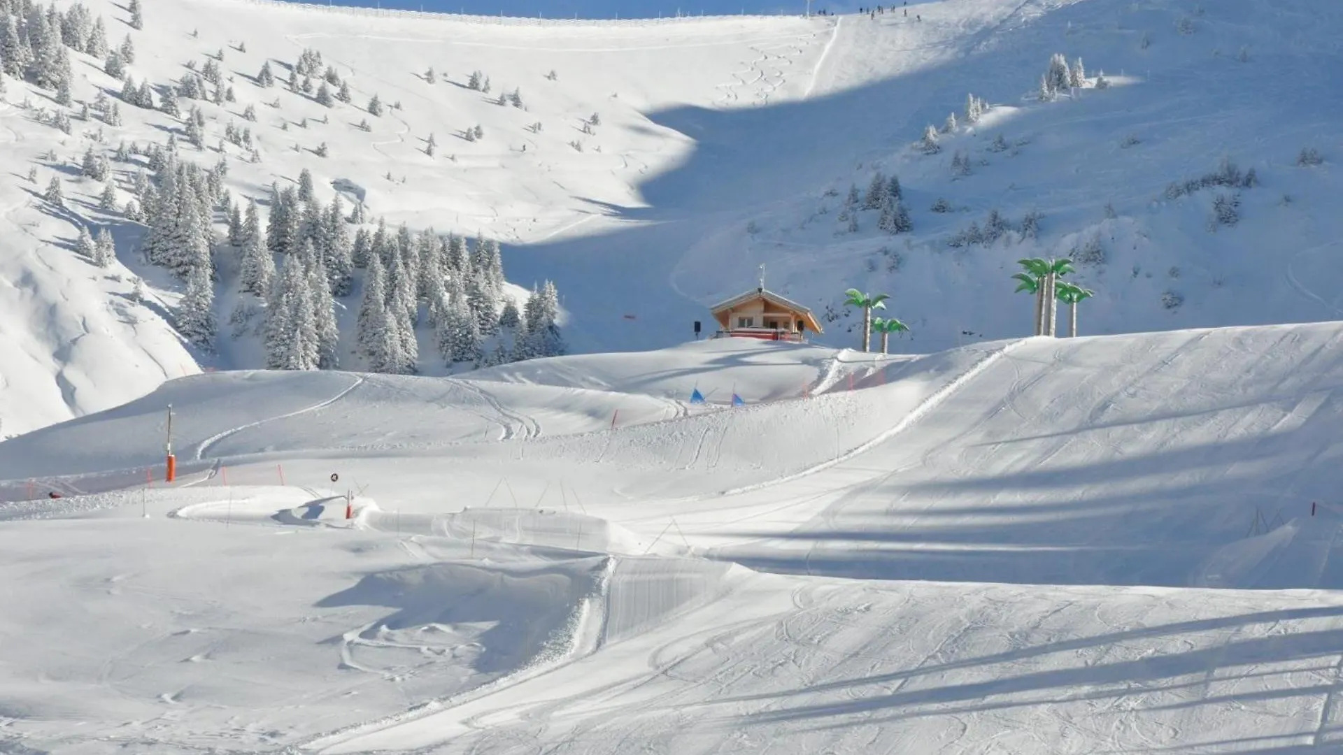 Hoc01 - Appartement 6 Personnes Proche Skibus Les Carroz d'Araches France